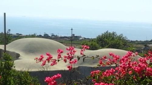 La Palma