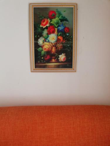 Apartamento Casa Narciso