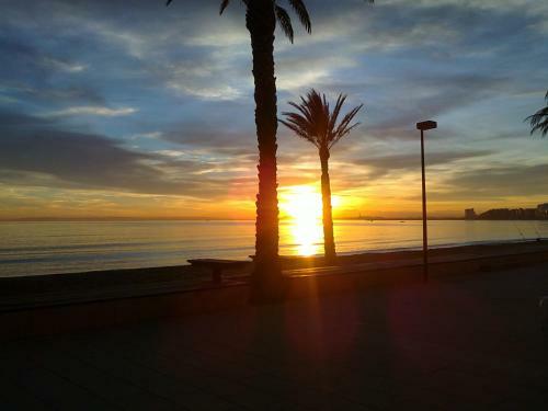 Apartaments Estudis Els Molins