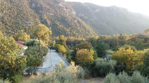 Aparthotel Alexandros