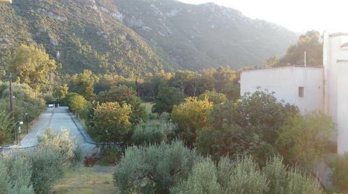 Aparthotel Alexandros