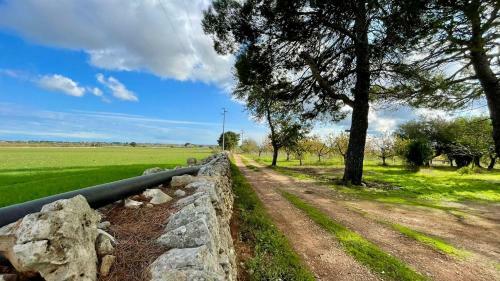 Masseria Elefante