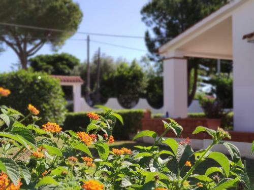 Villa Lucia