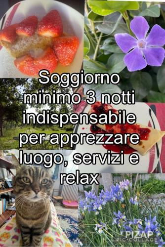 B&B I Guardiani Dell'orto