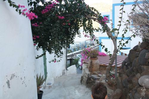 Hostal I 5 Passi