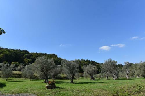 Chiusaperi-girasole