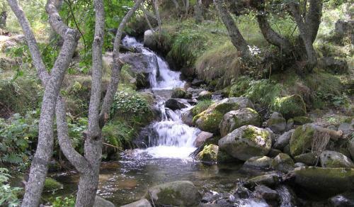 Hostal L'orri de Plan�s - G�te Auberge �cologique
