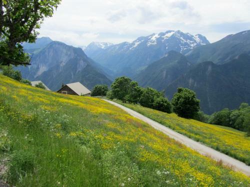 Chalet La Petite Soeur