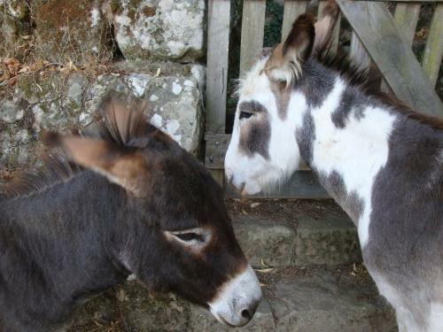 Bed & Breakfast Le Hameau De Robert