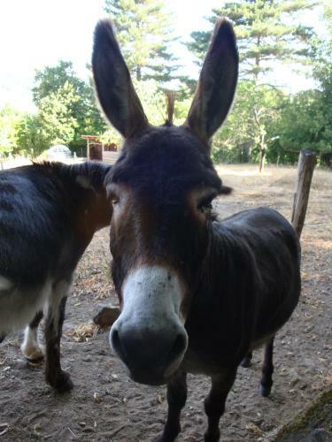 Bed & Breakfast Le Hameau De Robert