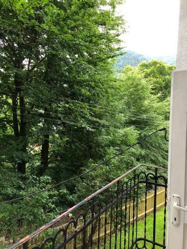 Bed & Breakfast Manyi Villa