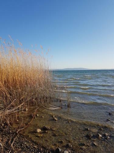 Bnb Seaview