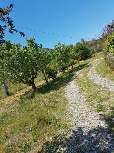 Chalet Sardegna