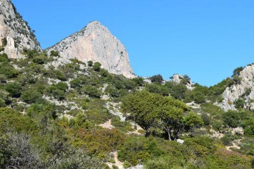 Sa Dommu De Doloretta