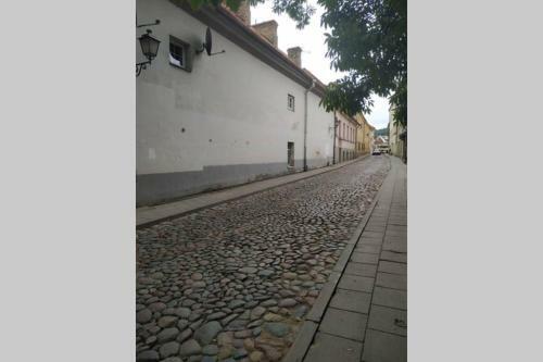 Historical U?upis & Old Town Apartment