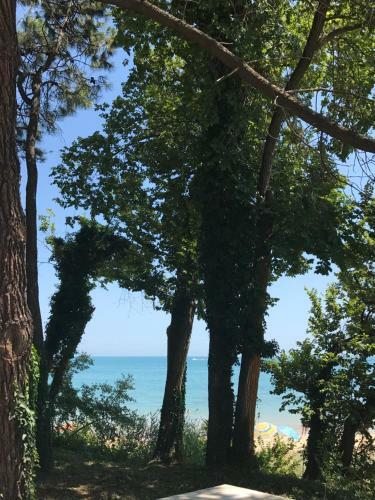 Apartamento Ocean Bay