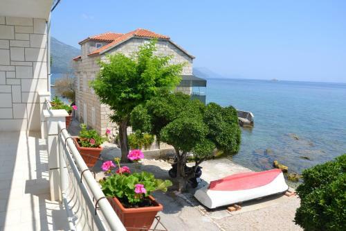 Apartments Pavla