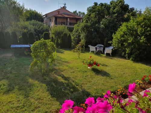 Bed & Breakfast Villa Nikolina