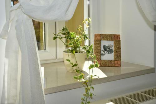 Old Town Studio Apartments