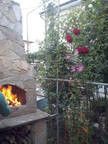 Hostal Guest House Cozy Near Arcadia
