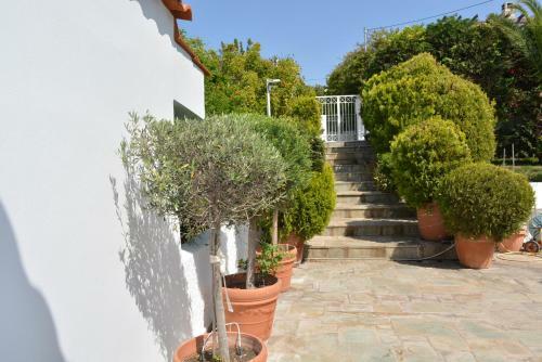 Villa Grace