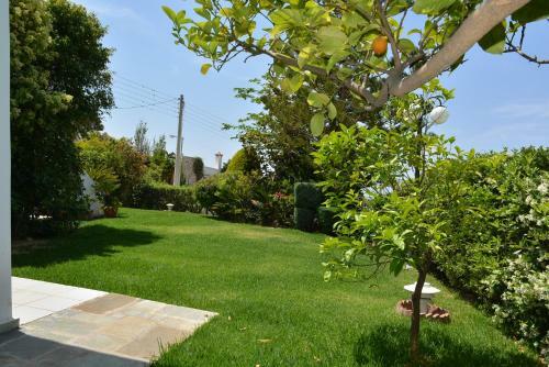 Villa Grace
