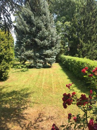 C�drus Apartman