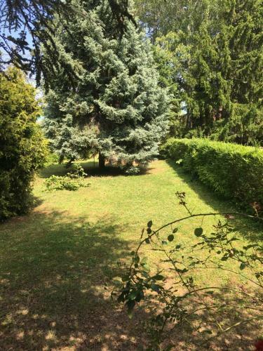 C�drus Apartman