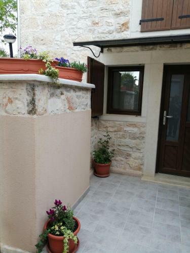 Apartman Ajhner