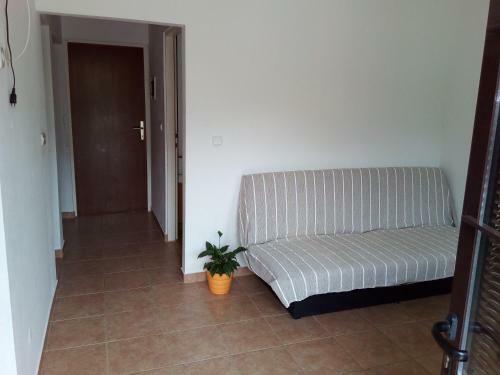 Apartmani Toni
