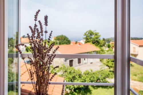 Apartments Zonta