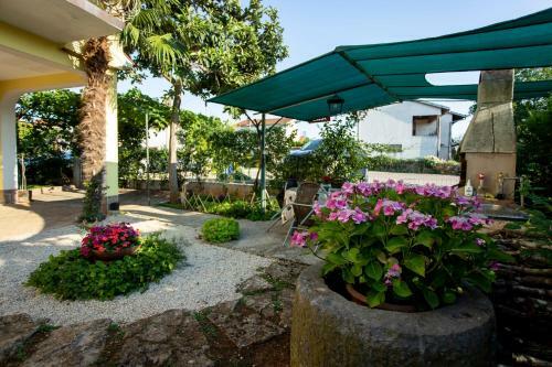Apartments Zonta