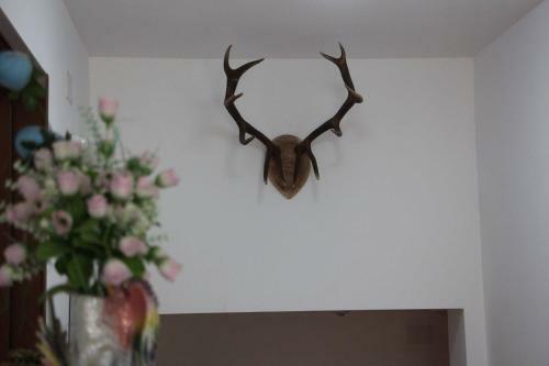 Hostal Pensiunea Nituca