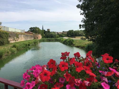 La Maison Des Sorci�res
