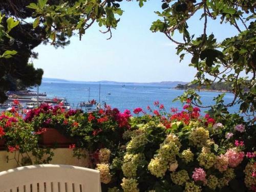 Hostal Sea View Room Macolic
