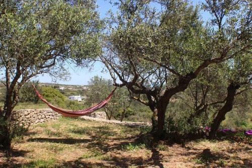 Apartamento Ampelia Kythira