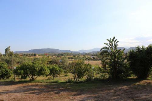 Agroturismo Agriturismo L' Agrumeto