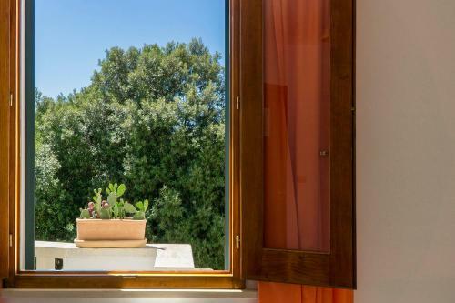 Antonella B&B
