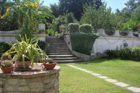 Hostal Camera Privata Con Bagno B&B