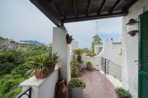 Apartamento Casetta Verde