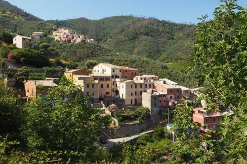 Apartamento Appartamento Il Limone