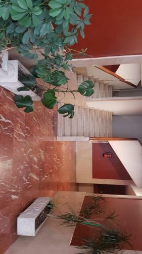Apartamento Paula