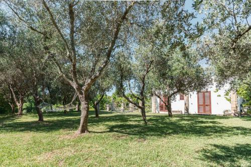 Villa Casina Ulivo
