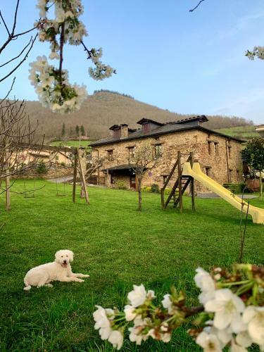 Posada Casa Ponce