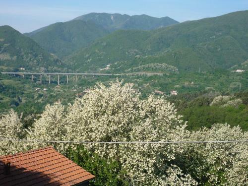 Bed & Breakfast Il Poggio Di Traverde