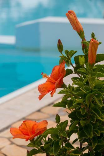 Apartamento Resort Capo Bianco