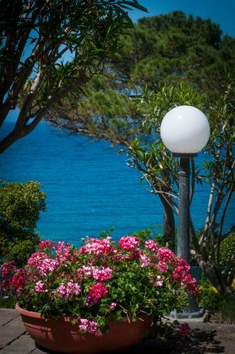 Bed & Breakfast Camera A Cinque Minuti Dal Mare