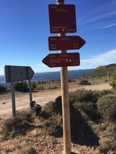 Riglos Paradise