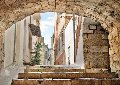 Casine Di Corte