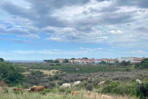 Apartamento Trilocale Vista Mare